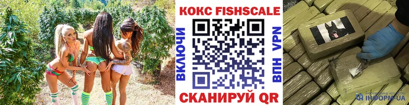 Купить закладки  Кинель  COCAIN Эквадор 