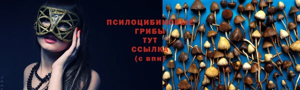 первитин Дмитров