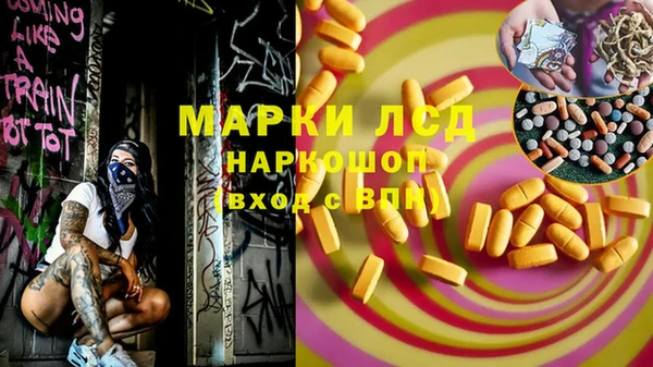 сатива Дмитровск