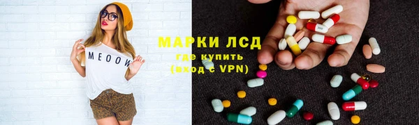 сатива Дмитровск