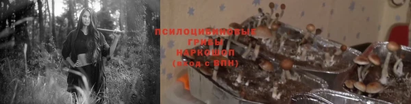 наркотики Дмитриев