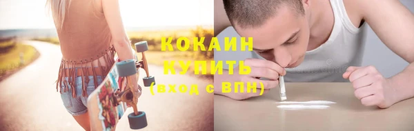 сатива Дмитровск