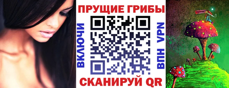 Псилоцибиновые грибы мухоморы  Купить  Кинель 