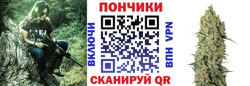 Конопля сатива  Купить  Кинель 